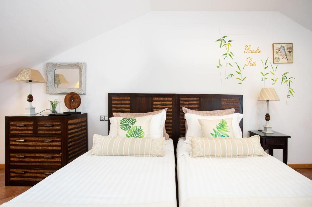 The Paradise Suites By Anne, Cozy Apartment In Adeje أذيخي المظهر الخارجي الصورة